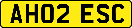 AH02ESC