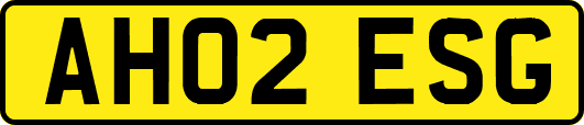 AH02ESG