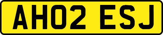 AH02ESJ