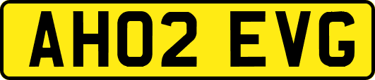 AH02EVG