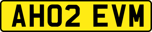 AH02EVM