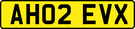 AH02EVX