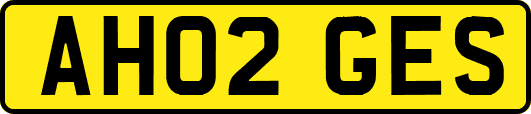 AH02GES
