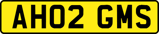 AH02GMS