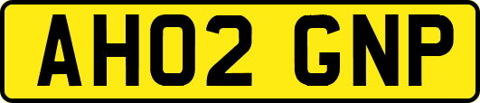 AH02GNP