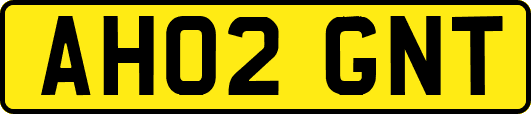 AH02GNT