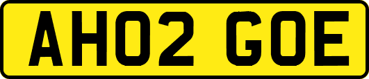 AH02GOE