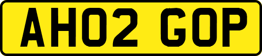 AH02GOP