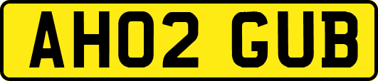 AH02GUB