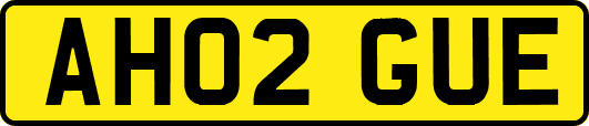 AH02GUE
