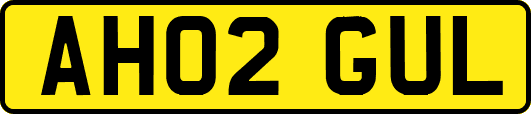 AH02GUL