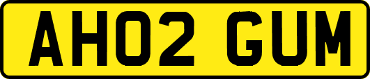 AH02GUM