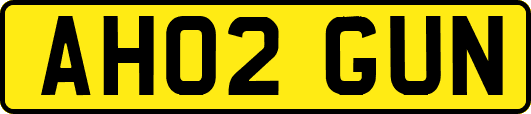 AH02GUN