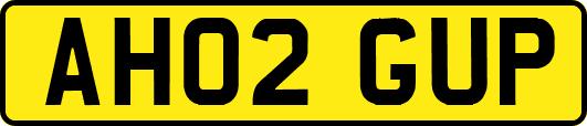 AH02GUP