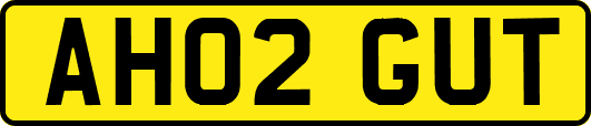 AH02GUT
