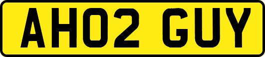 AH02GUY