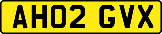 AH02GVX