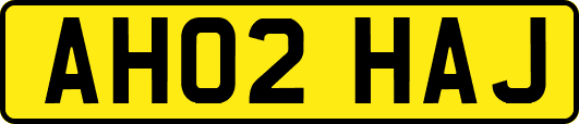 AH02HAJ