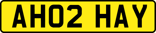 AH02HAY