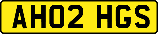AH02HGS