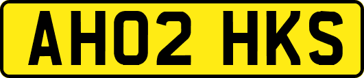AH02HKS