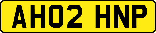 AH02HNP