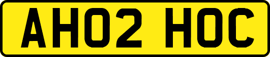AH02HOC