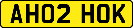 AH02HOK