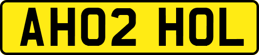 AH02HOL