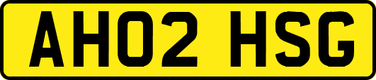 AH02HSG