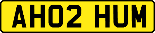AH02HUM