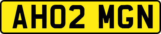 AH02MGN
