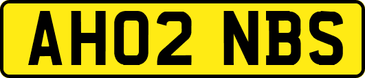 AH02NBS