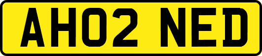 AH02NED