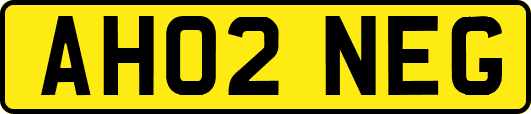 AH02NEG
