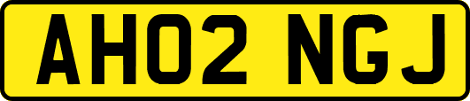 AH02NGJ