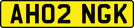 AH02NGK