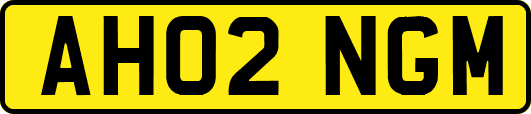 AH02NGM
