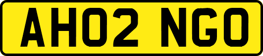 AH02NGO