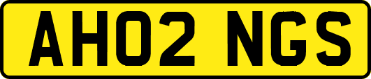 AH02NGS