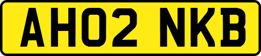 AH02NKB