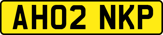 AH02NKP