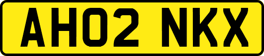 AH02NKX
