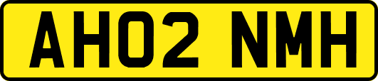 AH02NMH
