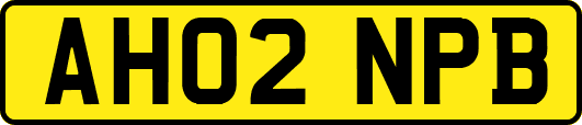 AH02NPB