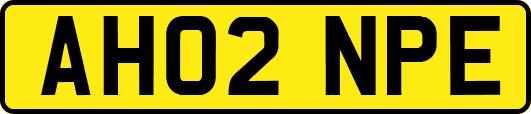 AH02NPE