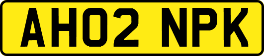 AH02NPK