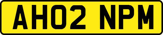 AH02NPM