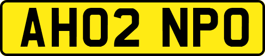 AH02NPO