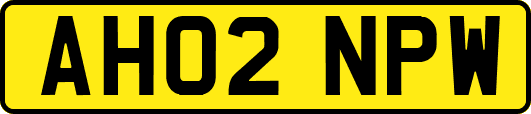 AH02NPW